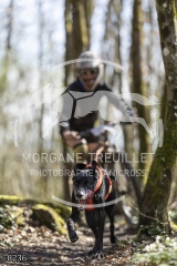 8236