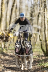 8273
