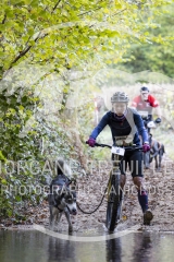 3396