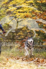 2021