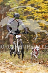 2031