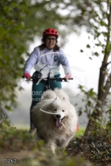 5262
