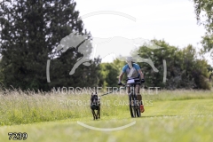 7239