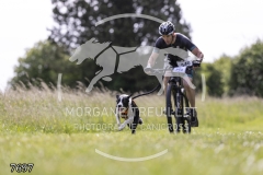 7697