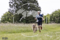 9132