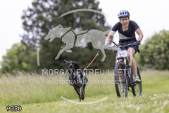 9550