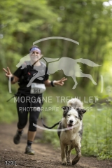 3231