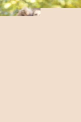 0452