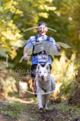 9062