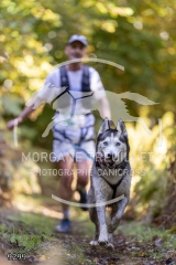 9299